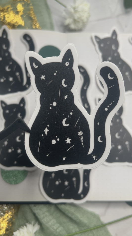 Space Cat